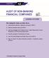 AUDIT OF NON-BANKING FINANCIAL COMPANIES