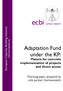 ecbi policy report Adaptation Fund under the KP: Mature for concrete implementation of projects and direct access