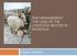 Andrew Goodland RISK MANAGEMENT: THE CASE OF THE LIVESTOCK SECTOR IN MONGOLIA