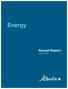 Energy Annual Report