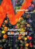 Autumn Budget LeasePlan UK Consultancy Services