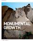 optima report Monumental growth