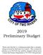 2019 Preliminary Budget