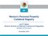 Mexico s Personal Property Collateral Registry. Jan R. Boker General Director of National Commercial Regulation Ministry of Economy
