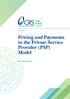 Pricing and Payments in the Private Service Provider (PSP) Model