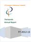 edynamics Solutions Limited Thirteenth Annual Report