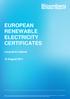 EUROPEAN RENEWABLE ELECTRICITY CERTIFICATES