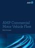AMP Commercial Motor Vehicle Fleet. Policy Document