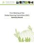 First Meeting of the Global Steering Committee (GSC) Summary Record