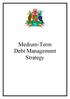 Medium-Term Debt Management Strategy