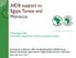 AfDB support to Egypt, Tunisia and Morocco