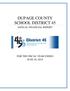 DUPAGE COUNTY SCHOOL DISTRICT 45 ANNUAL FINANCIAL REPORT