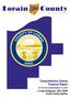 Comprehensive Annual Financial Report. For The Year Ended December 31, J. Craig Snodgrass, CPA, CGFM Lorain County Auditor