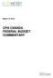 March 19, 2019 CPA CANADA FEDERAL BUDGET COMMENTARY