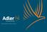 BRAND GUIDELINES VERSION 1 MAY Adler Insurance Logo Guidelines
