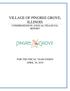VILLAGE OF PINGREE GROVE, ILLINOIS COMPREHENSIVE ANNUAL FINANCIAL REPORT