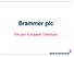 Brammer plc. The pan-european Distributor